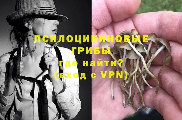 ПСИЛОЦИБИНОВЫЕ ГРИБЫ Бронницы