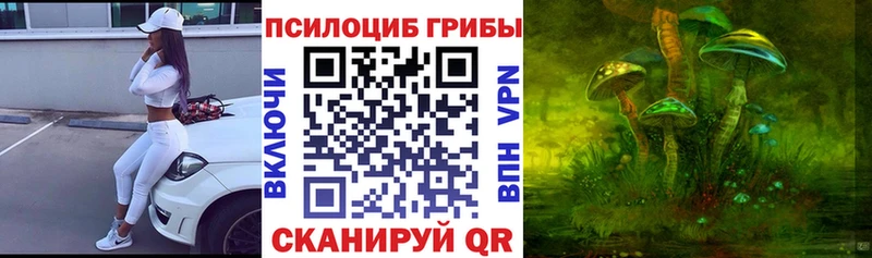 Псилоцибиновые грибы Magic Shrooms  даркнет сайт  hydra вход  Челябинск 